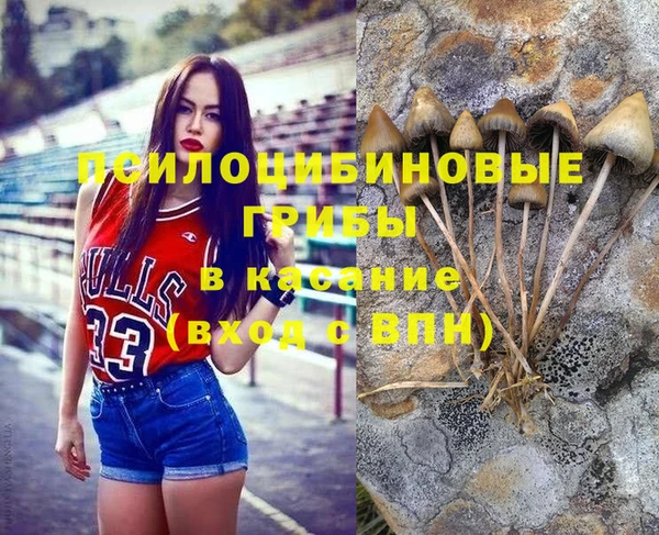 молекула духа Алексеевка