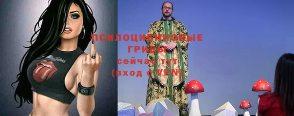 молекула духа Алексеевка