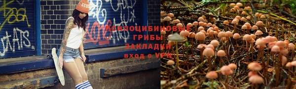 кристаллы Алзамай