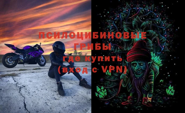 молекула духа Алексеевка
