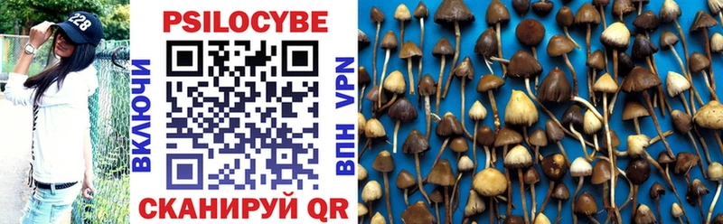 Псилоцибиновые грибы мухоморы  MEGA как войти  Луга  это какой сайт  купить наркоту 